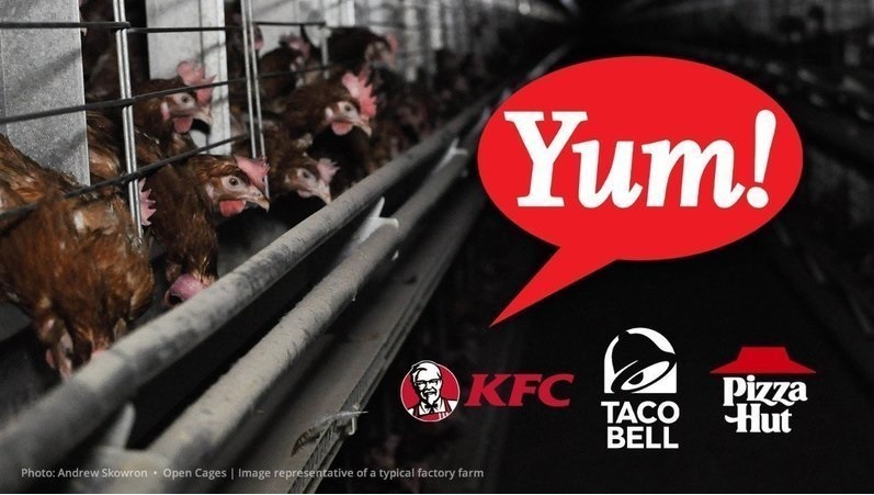 Imagen de la campaña hacia Yum! Brands
